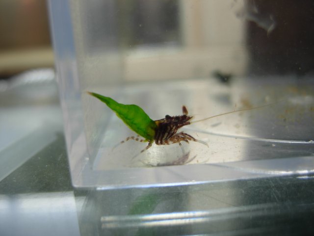 DSCN5412.JPG