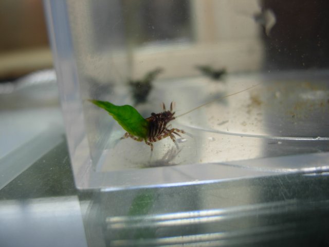 DSCN5414.JPG
