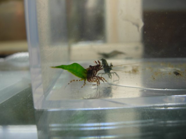 DSCN5420.JPG