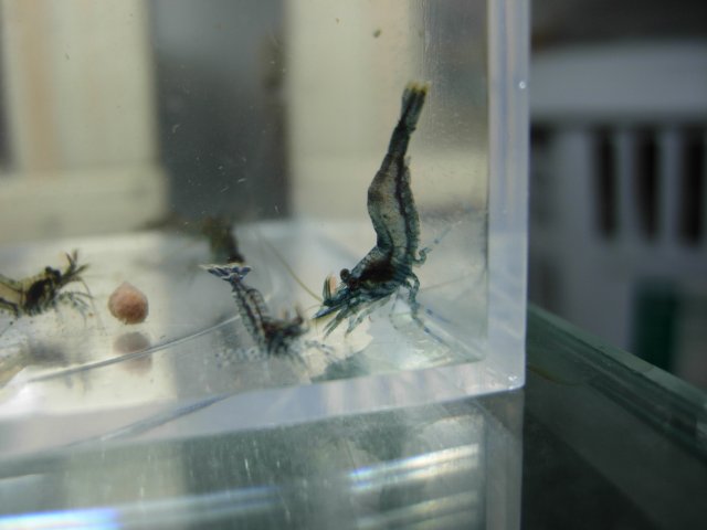 DSCN5435.JPG