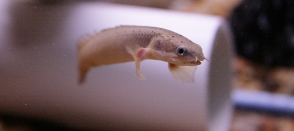 _MG_5013.JPG