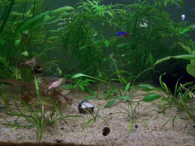 100_2437.JPG