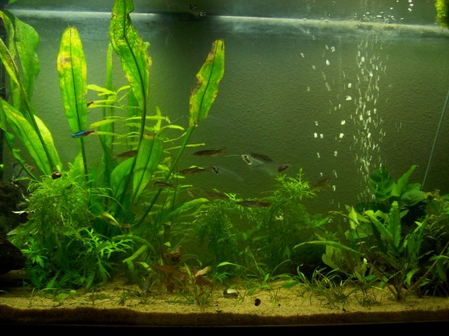 100_2435.JPG