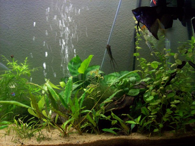 100_2434.JPG
