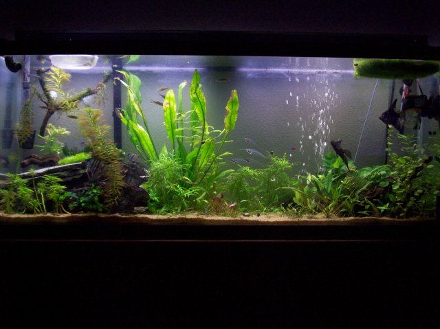 100_2433.JPG