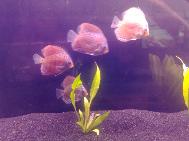 11032010426.jpg