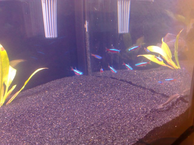 11032010429.jpg