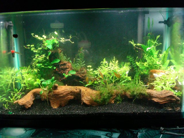 04-14-10 dump 065.jpg 04-14-10 dump 065.jpg