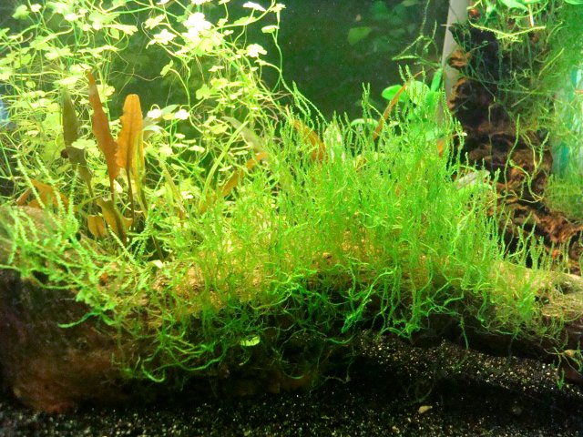 07-29-10 026.jpg 07-29-10 026.jpg