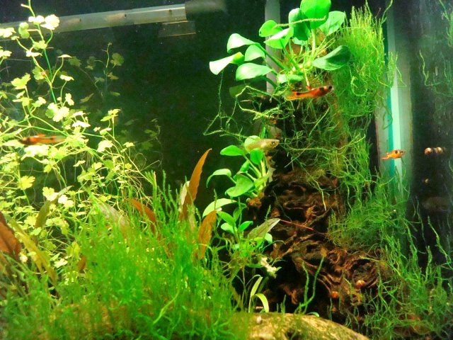 07-29-10 022.jpg 07-29-10 022.jpg