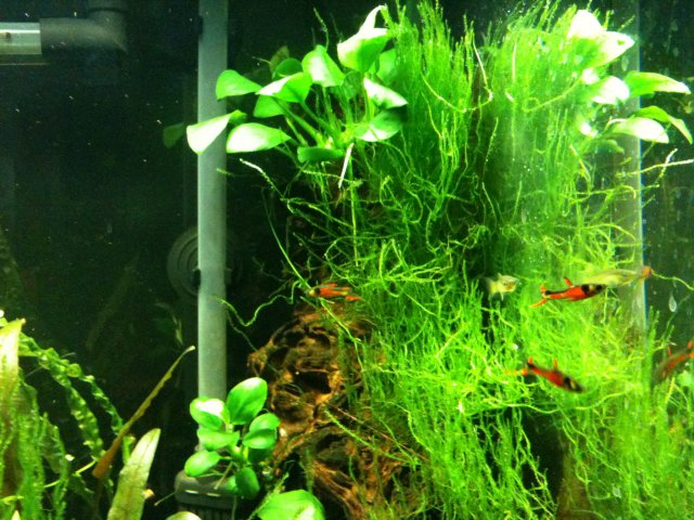 082210 iphone dump 084.jpg 082210 iphone dump 084.jpg