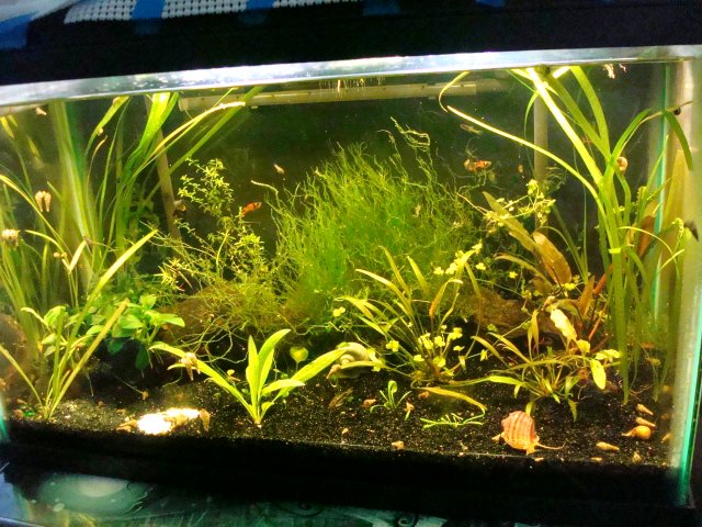 101010 dump 006.jpg 101010 dump 006.jpg