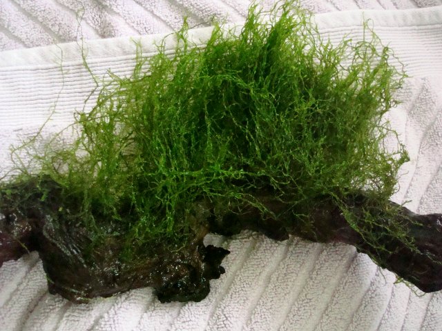 110210 dump 032.jpg 110210 dump 032.jpg