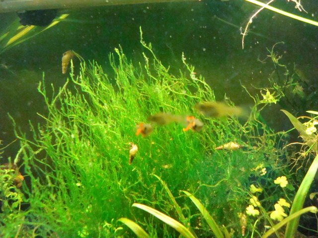 101410 dump 014.jpg 101410 dump 014.jpg