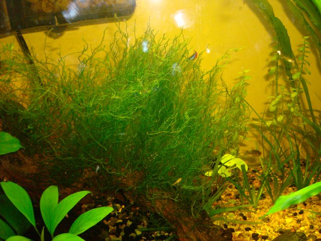 110210 dump 058.jpg 110210 dump 058.jpg