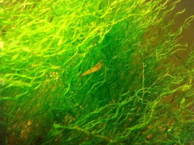 110210 dump 110.jpg 110210 dump 110.jpg