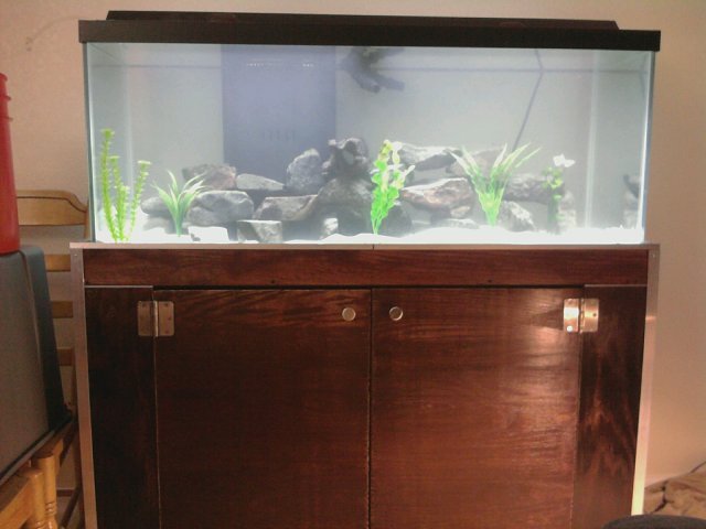 mms_picture (2) (1).jpg