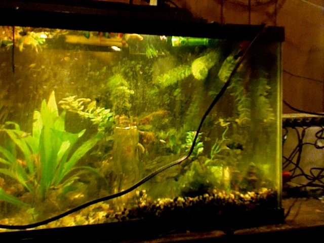 Photo on 2010-11-04 at 15.12 #3.jpg