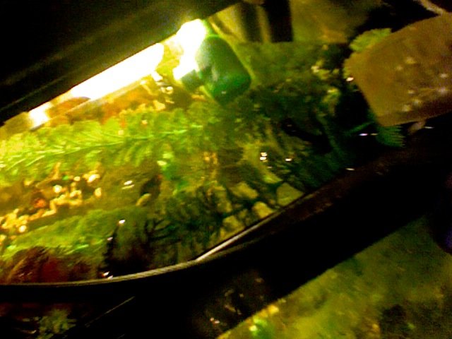 Photo on 2010-11-04 at 15.12.jpg