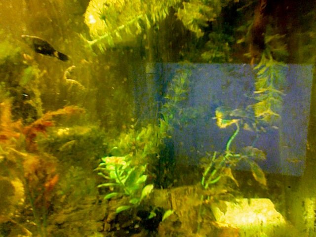 Photo on 2010-11-04 at 15.11.jpg