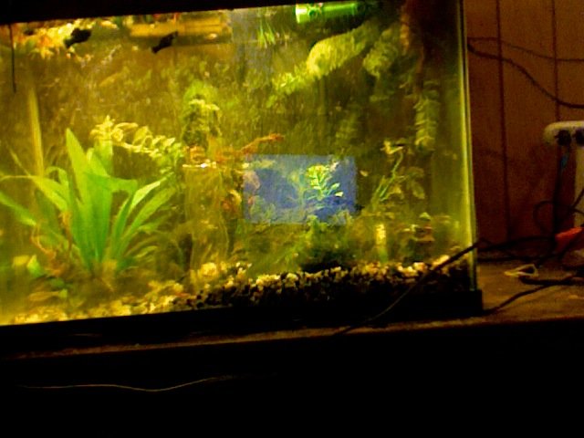 Photo on 2010-11-04 at 15.10.jpg