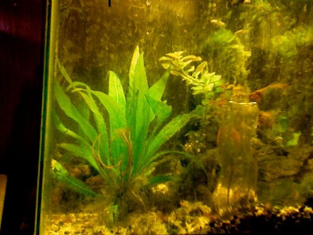 Photo on 2010-11-04 at 15.11 #2.jpg