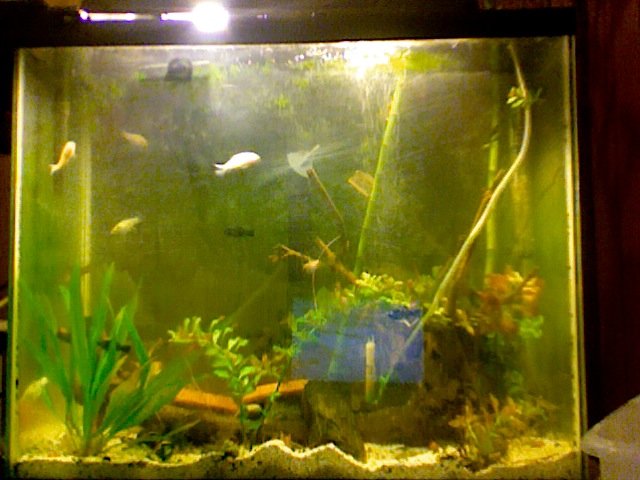 Photo on 2010-11-04 at 17.08 #2.jpg