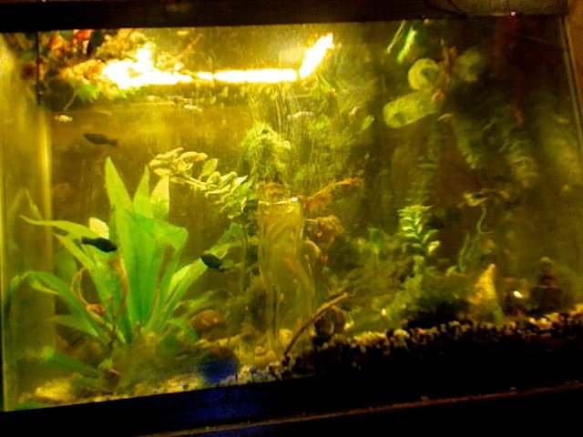 Photo on 2010-11-04 at 17.08.jpg