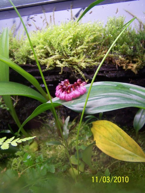 102_3116.JPG