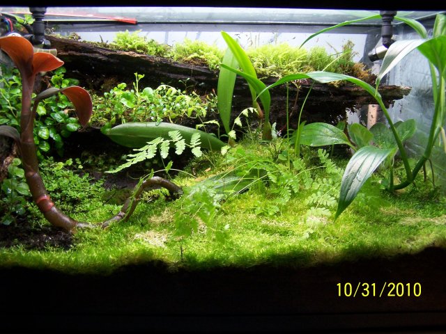 100_3052.JPG