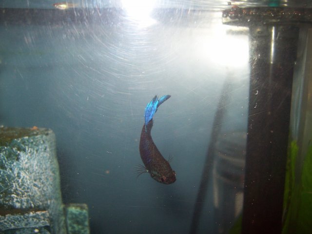 100_5856.jpg