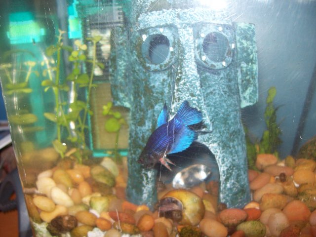 100_5857.jpg