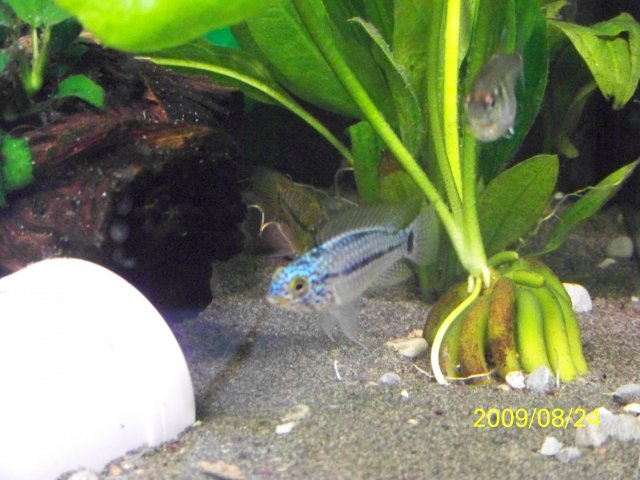 100_0244.jpg