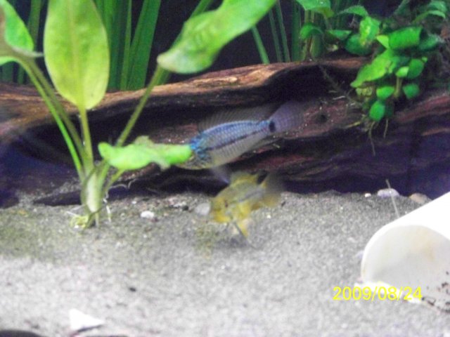 100_0254.jpg