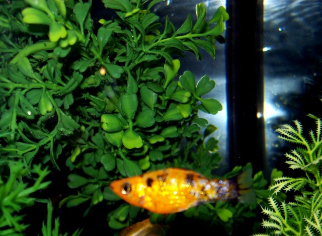 100_2505.JPG