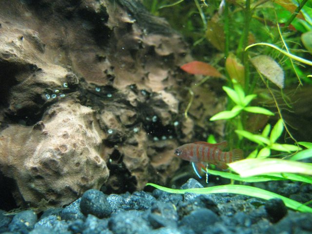 IMG_1229.JPG