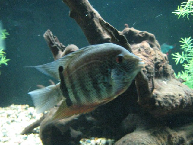 IMG_1264.JPG