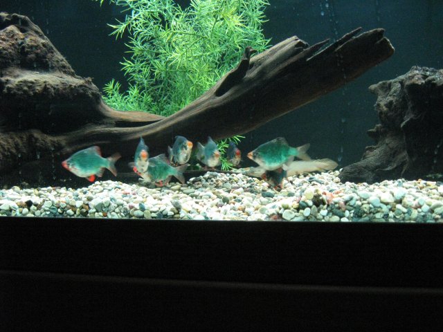 IMG_1278.JPG
