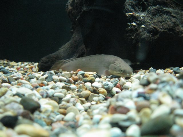 IMG_1280.JPG