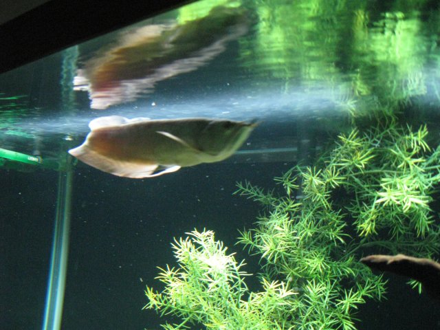 IMG_1281.JPG