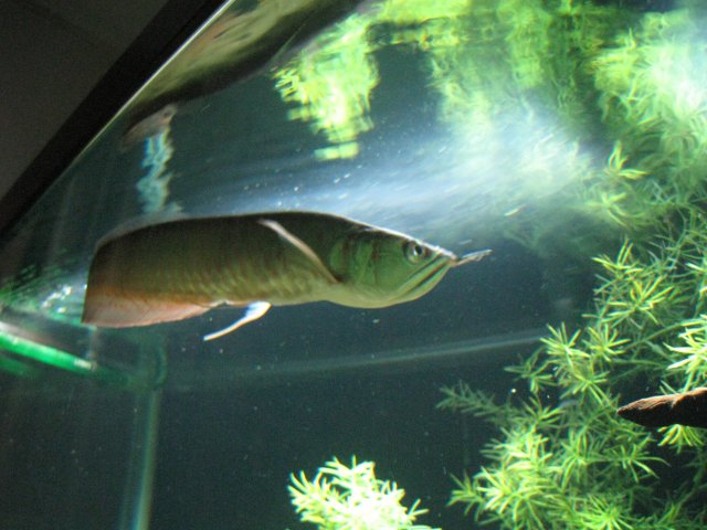IMG_1284.JPG