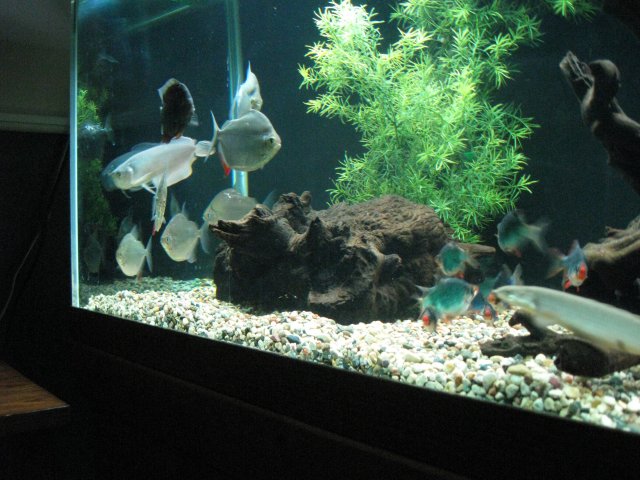 IMG_1285.JPG
