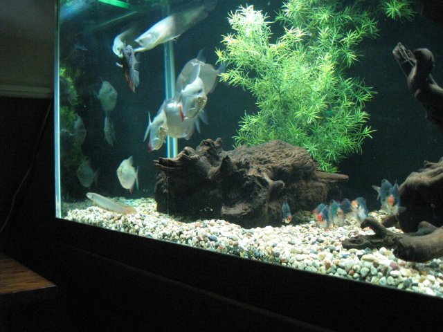 IMG_1286.JPG
