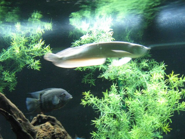 IMG_1292.JPG