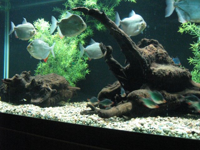 IMG_1296.JPG
