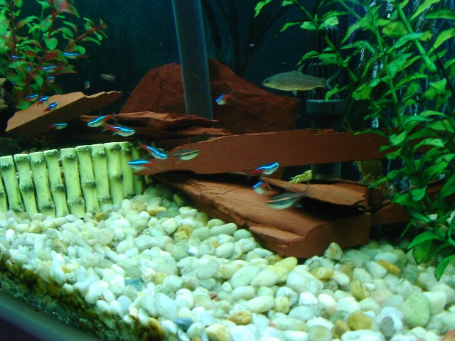 2007_0402_101614AA.JPG