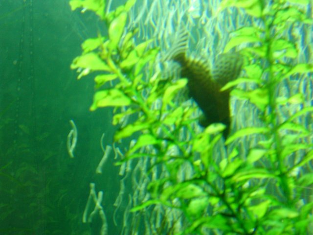 2007_0402_101808AA.JPG