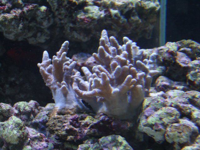 SNC10383.JPG