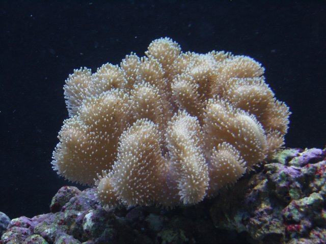 SNC10385.JPG
