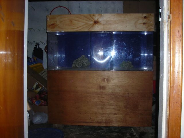 Tank progress0009.JPG